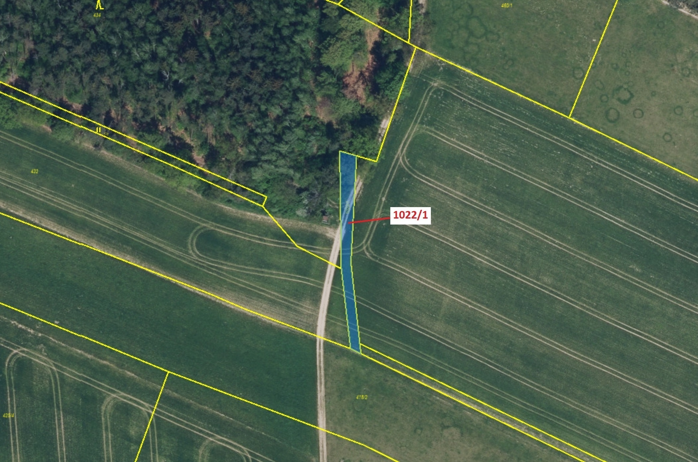 Orná půda o výměře 318 m2, podíl 1/1, katastrální území Olešnice u Rychnova nad Kněžnou, obec Olešni