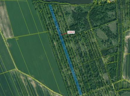Prodej - pozemek, les, 20 146 m²