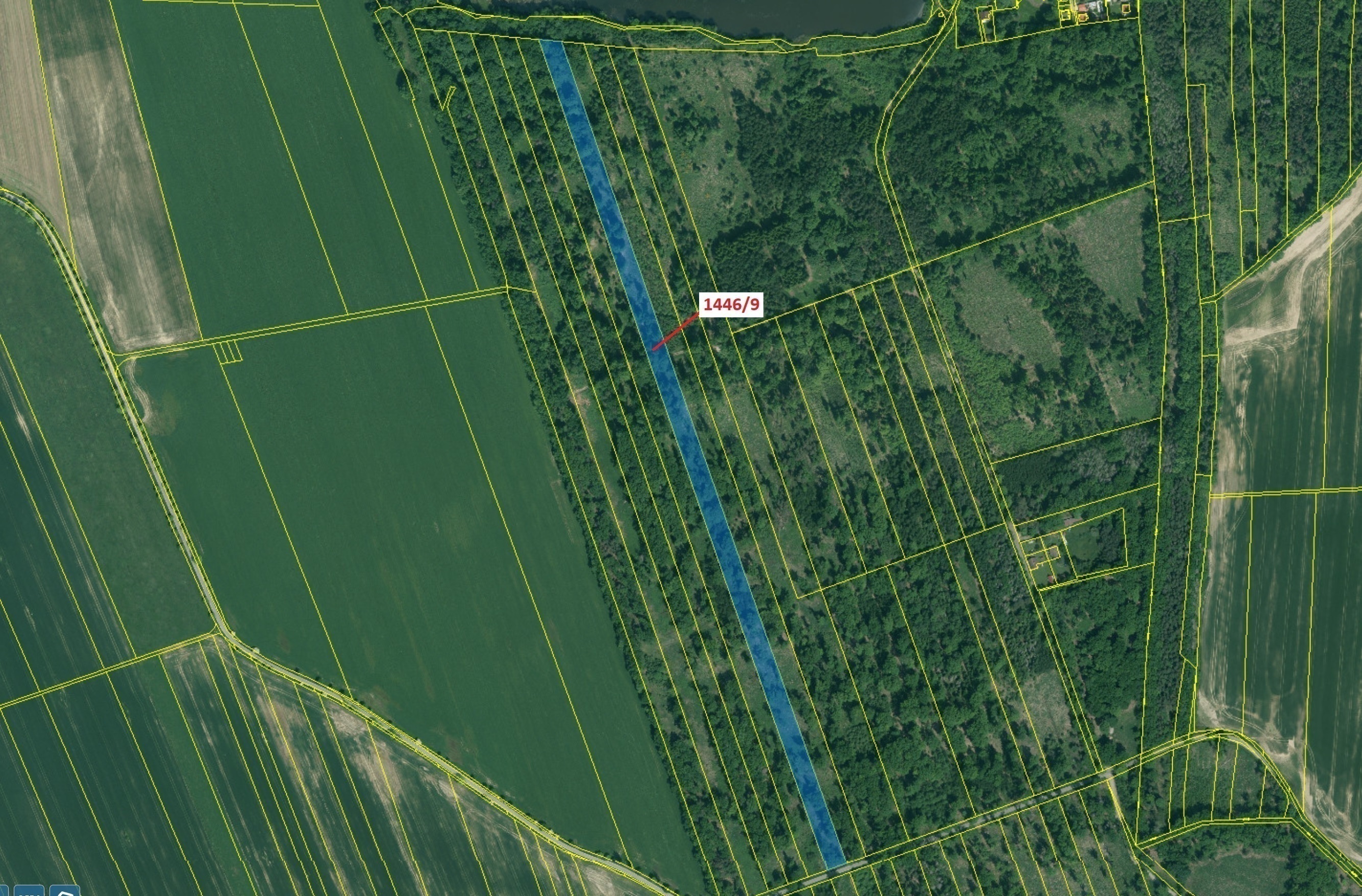 Lesní pozemek o výměře 19 879 m2, podíl 1/1, katastrální území Břehov, obec Břehov, obec s rozšířeno