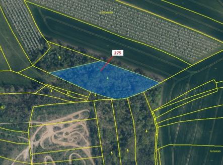 Prodej - pozemek, les, 10 319 m²