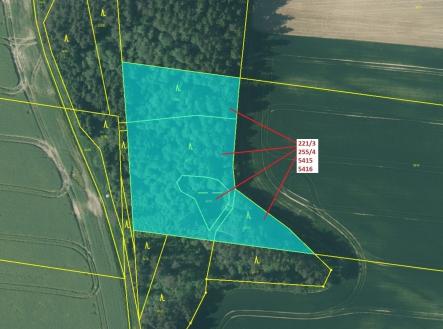 Prodej - pozemek, les, 7 902 m²