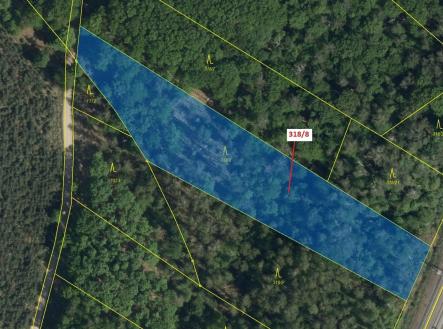 Prodej - pozemek, les, 5 317 m²