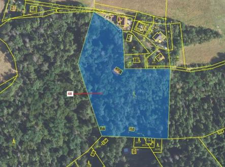 Prodej - pozemek, les, 8 962 m²