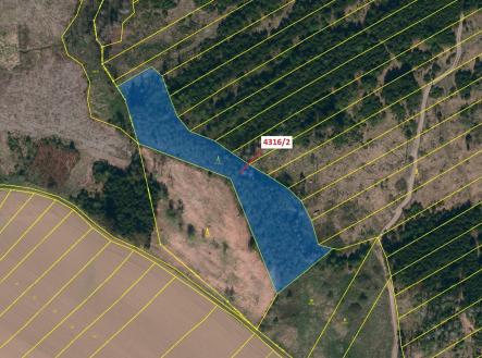 Prodej - pozemek, les, 7 085 m²