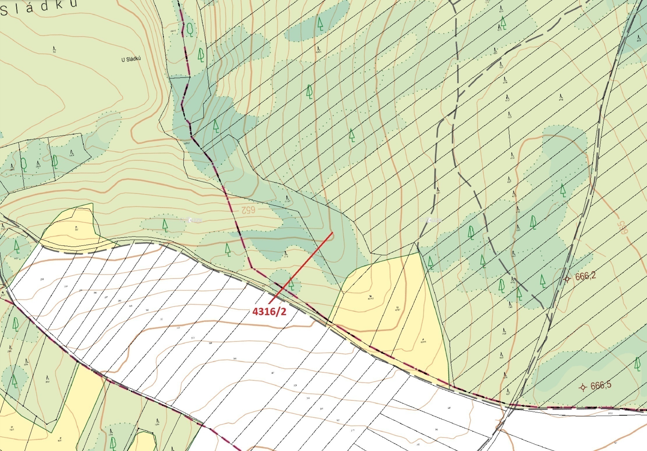 Lesní pozemek o výměře 7085 m2, podíl 1/1, katastrální území Opatov na Moravě, obec Opatov, obec s r