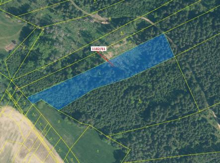 Prodej - pozemek, les, 11 119 m²