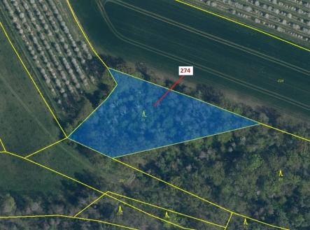 Prodej - pozemek, les, 4 557 m²