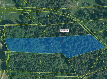 Prodej - pozemek, les, 11 078 m²