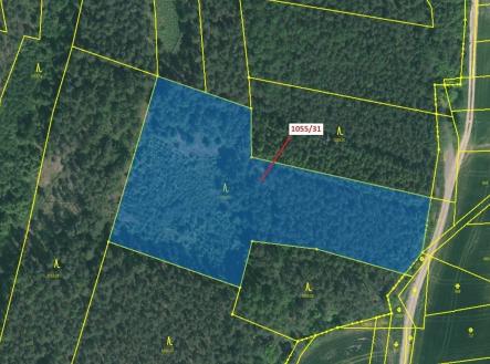 Prodej - pozemek, les, 9 168 m²