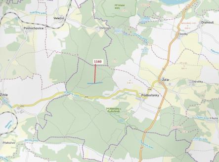 Prodej - pozemek, les, 12 984 m²