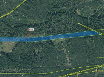 Prodej - pozemek, les, 12 984 m²