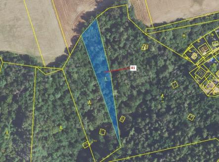 Prodej - pozemek, les, 1 816 m²