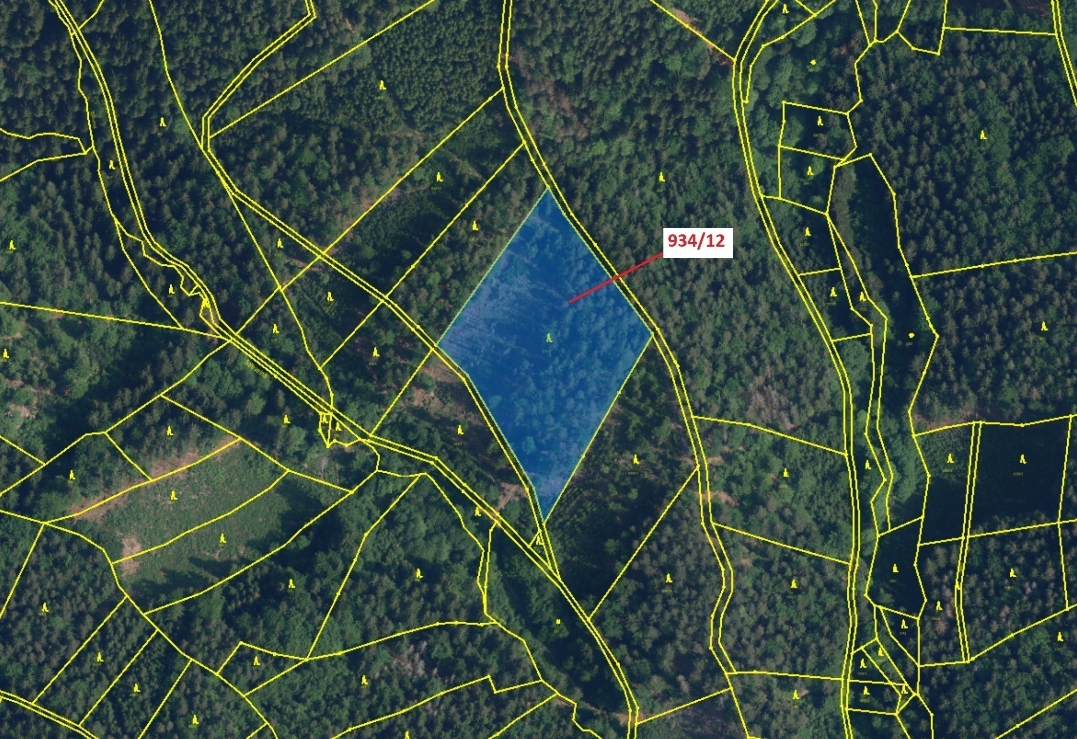 Lesní pozemek o výměře 10 166 m2, podíl 1/1, katastrální území Jílové u Držkova, obec Jílové u Držko