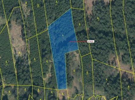 Prodej - pozemek, les, 5 348 m²