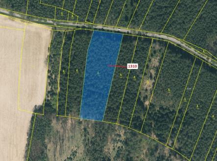 Prodej - pozemek, les, 7 441 m²