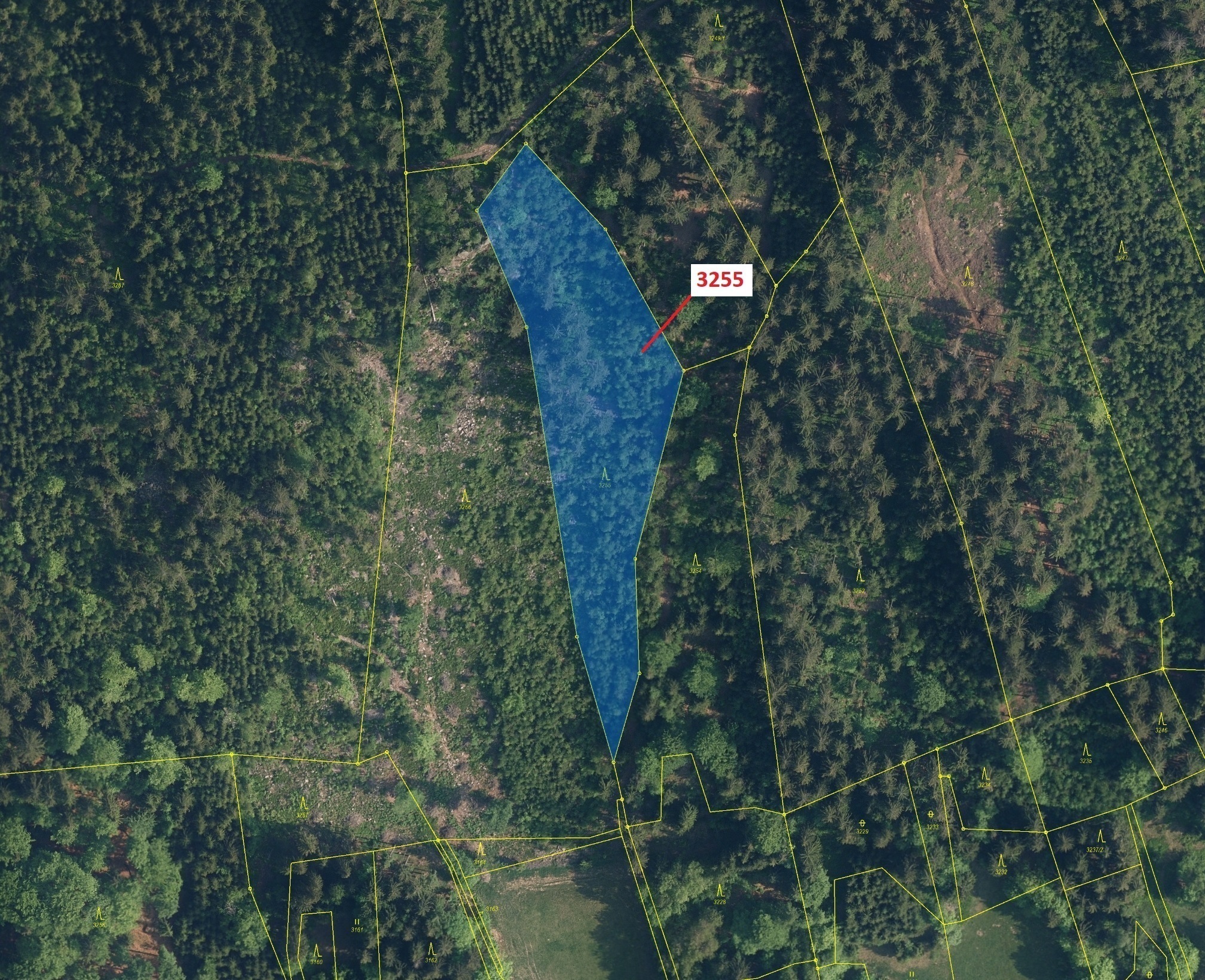 Lesní pozemek o výměře 6125 m2, podíl 1/1, katastrální území Velké Hamry, obec Velké Hamry, obec s r