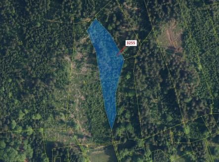 Prodej - pozemek, les, 6 125 m²