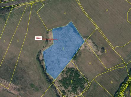 Prodej - pozemek, les, 9 119 m²