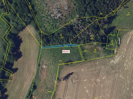 Prodej - pozemek, les, 121 m²