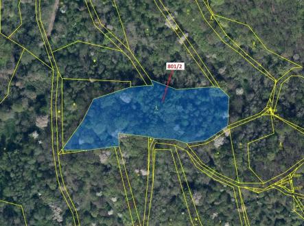 Prodej - pozemek, les, 8 765 m²