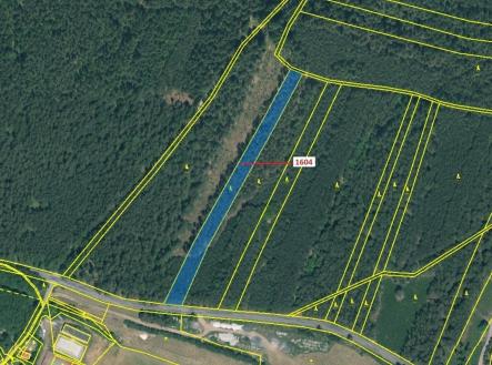 Prodej - pozemek, les, 4 076 m²