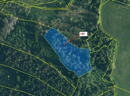 Prodej - pozemek, les, 4 542 m²