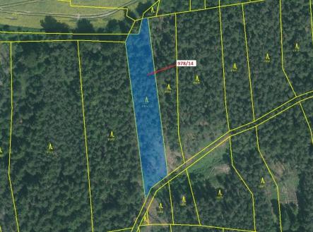 Prodej - pozemek, les, 2 762 m²