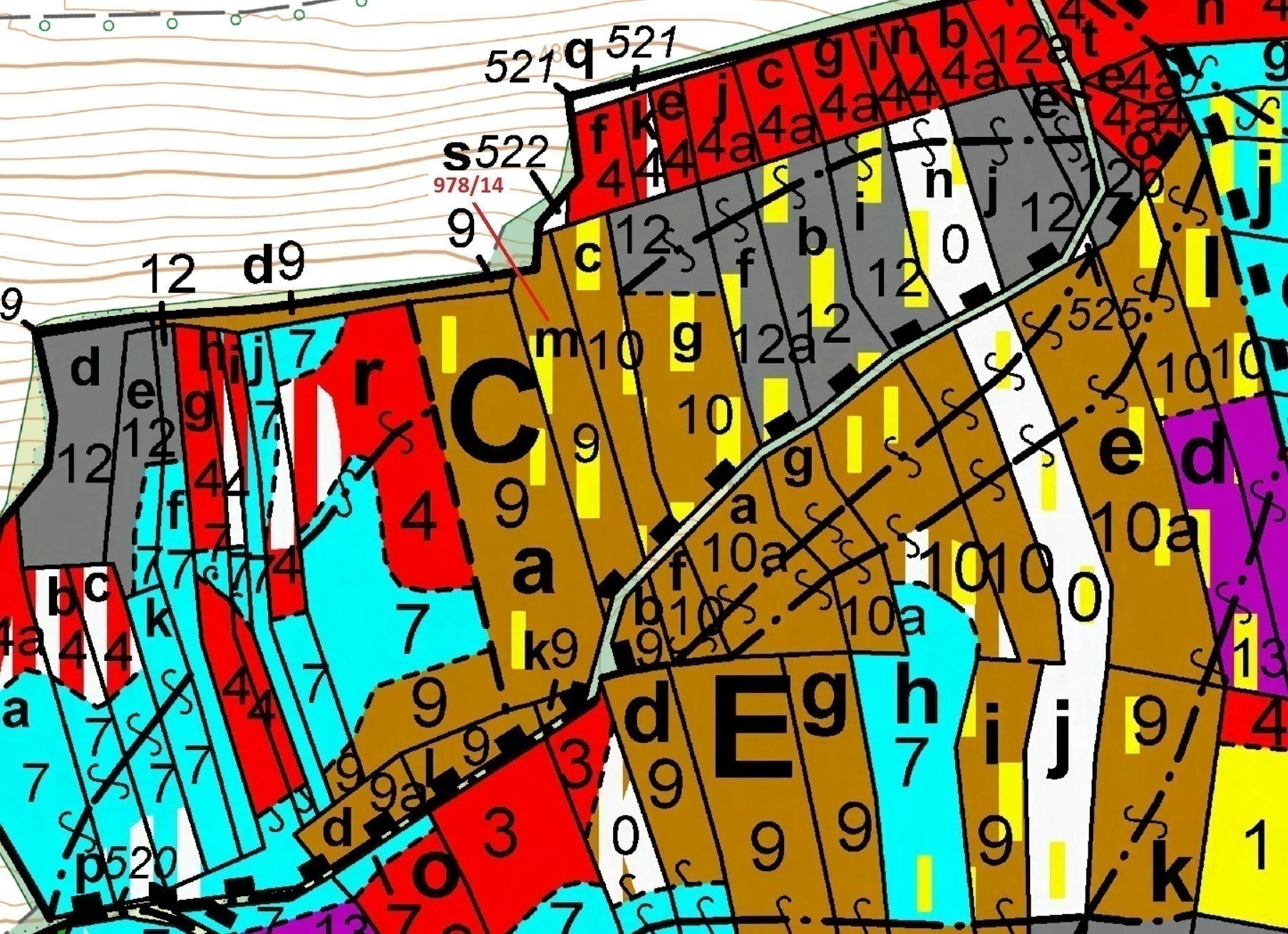 Lesní pozemek o výměře 2762 m2, podíl 1/1, katastrální území Radonice u Milavčí, obec Milavče, obec 
