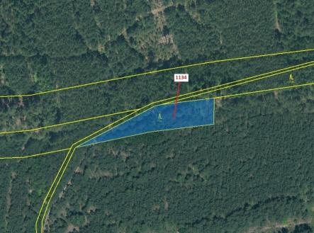 Prodej - pozemek, les, 1 636 m²