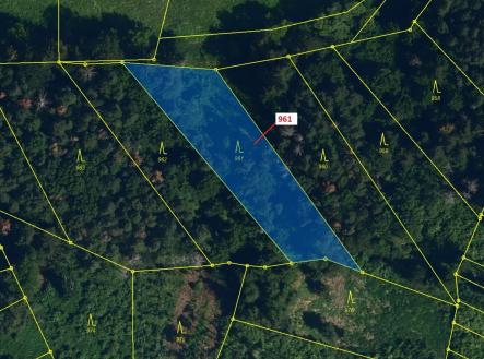 Prodej - pozemek, les, 961 m²