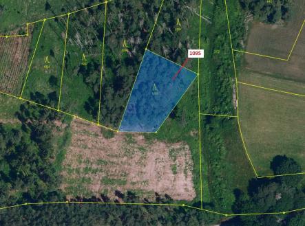 Prodej - pozemek, les, 1 427 m²