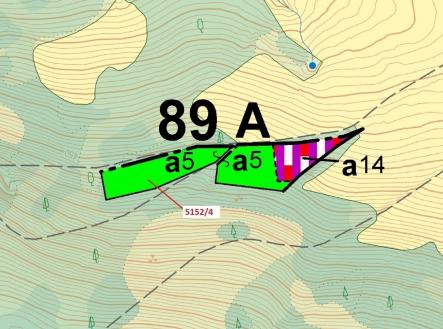 Prodej - pozemek, les, 3 638 m²
