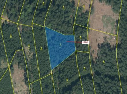 Prodej - pozemek, les, 2 949 m²