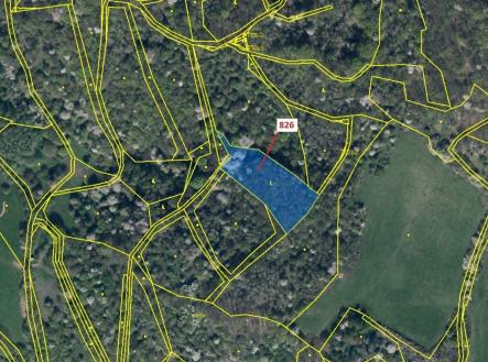 Prodej - pozemek, les, 4 610 m²