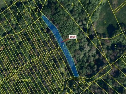 Prodej - pozemek, les, 1 160 m²