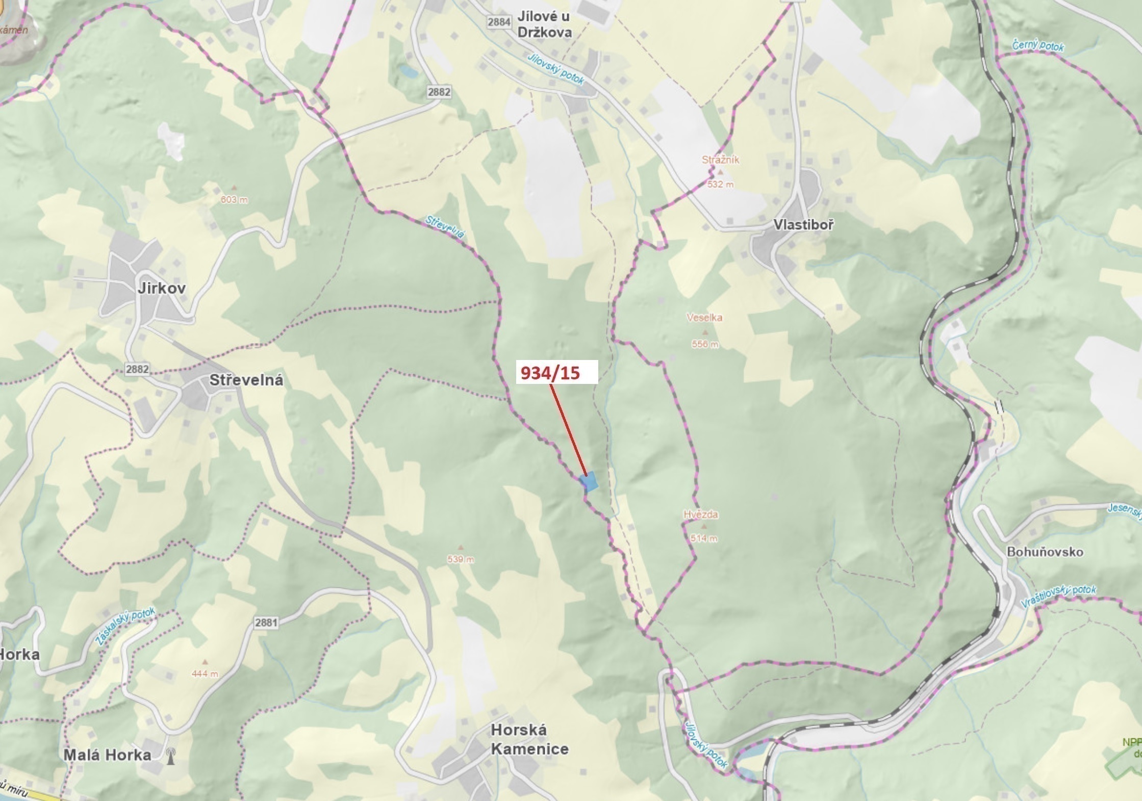 Lesní pozemek o výměře 3 821 m2, podíl 1/1, katastrální území Jílové u Držkova, obec Jílové u Držkov