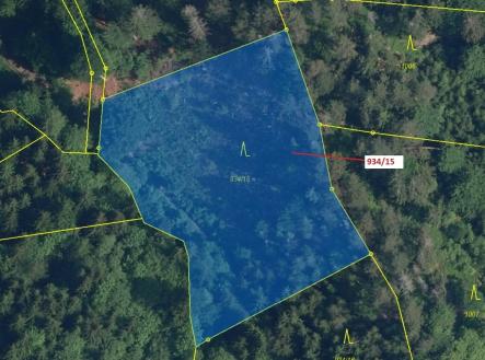 Prodej - pozemek, les, 3 821 m²
