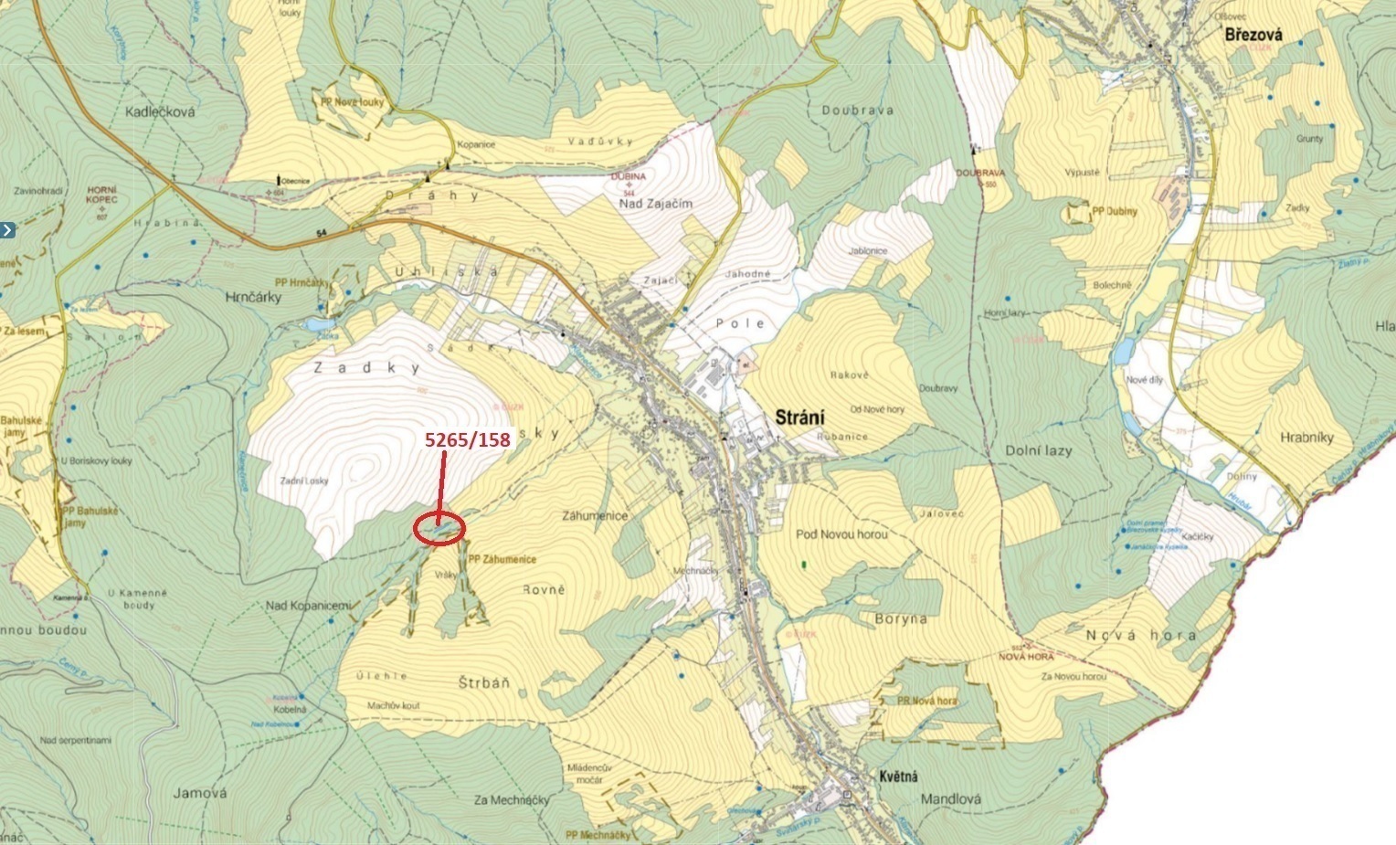 Lesní pozemek o výměře 1065 m2, podíl 1/1, katastrální území Strání, obec Strání, obec s rozšířenou 