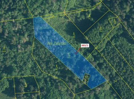 Prodej - pozemek, les, 2 895 m²