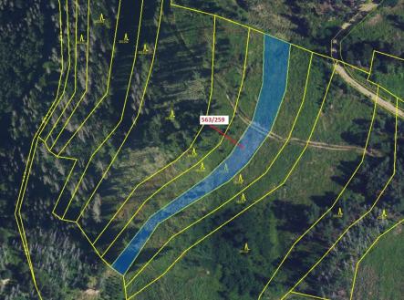 Prodej - pozemek, les, 2 318 m²