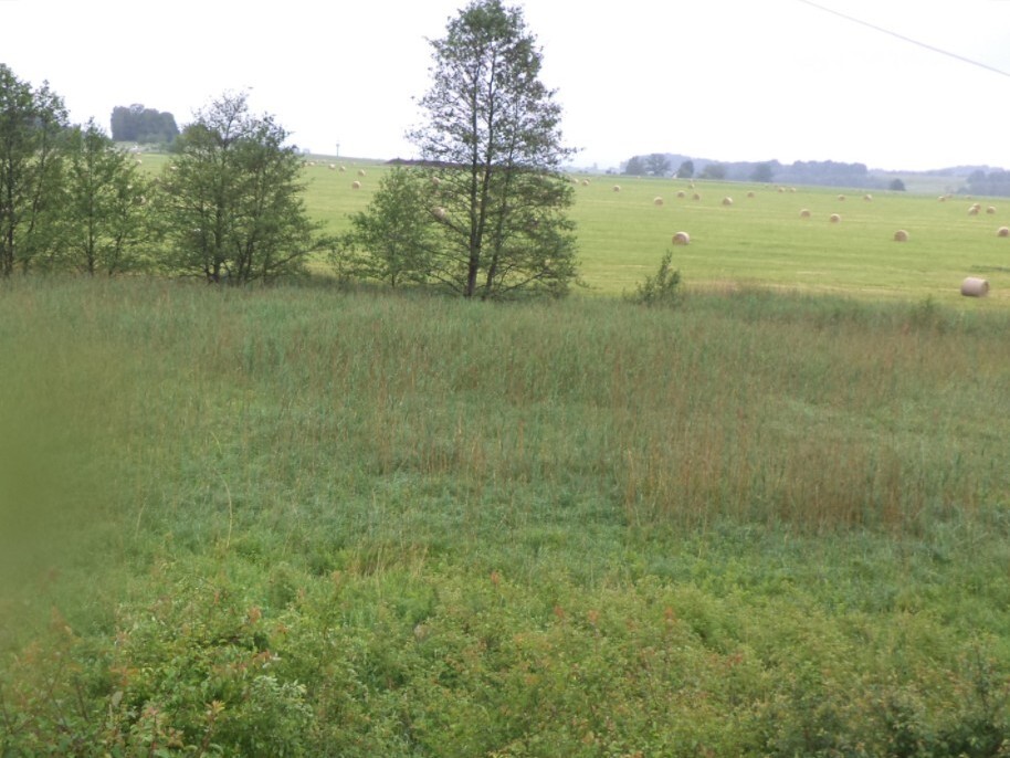 Pozemek o velikosti 4685m2,Postřelná