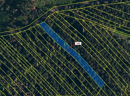 Prodej - pozemek, les, 1 957 m²