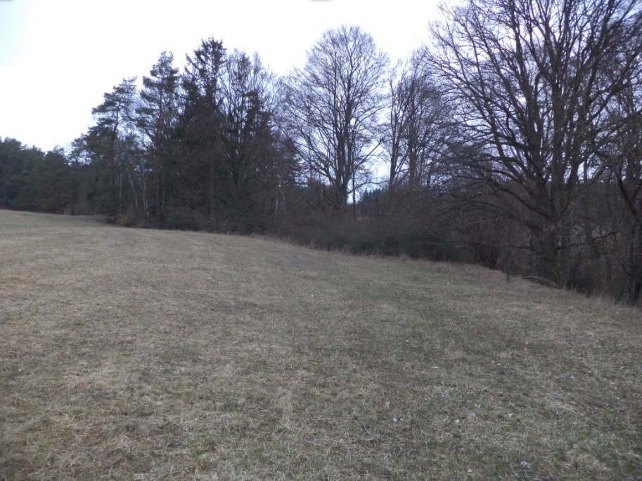 Pozemek o velikosti 6625m2, Balková