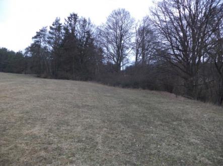 Prodej - pozemek, zemědělská půda, 6 625 m²