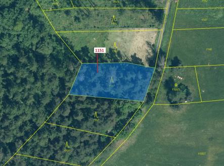 Prodej - pozemek, les, 1 331 m²
