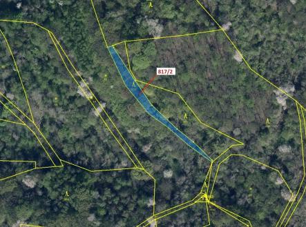 Prodej - pozemek, les, 815 m²