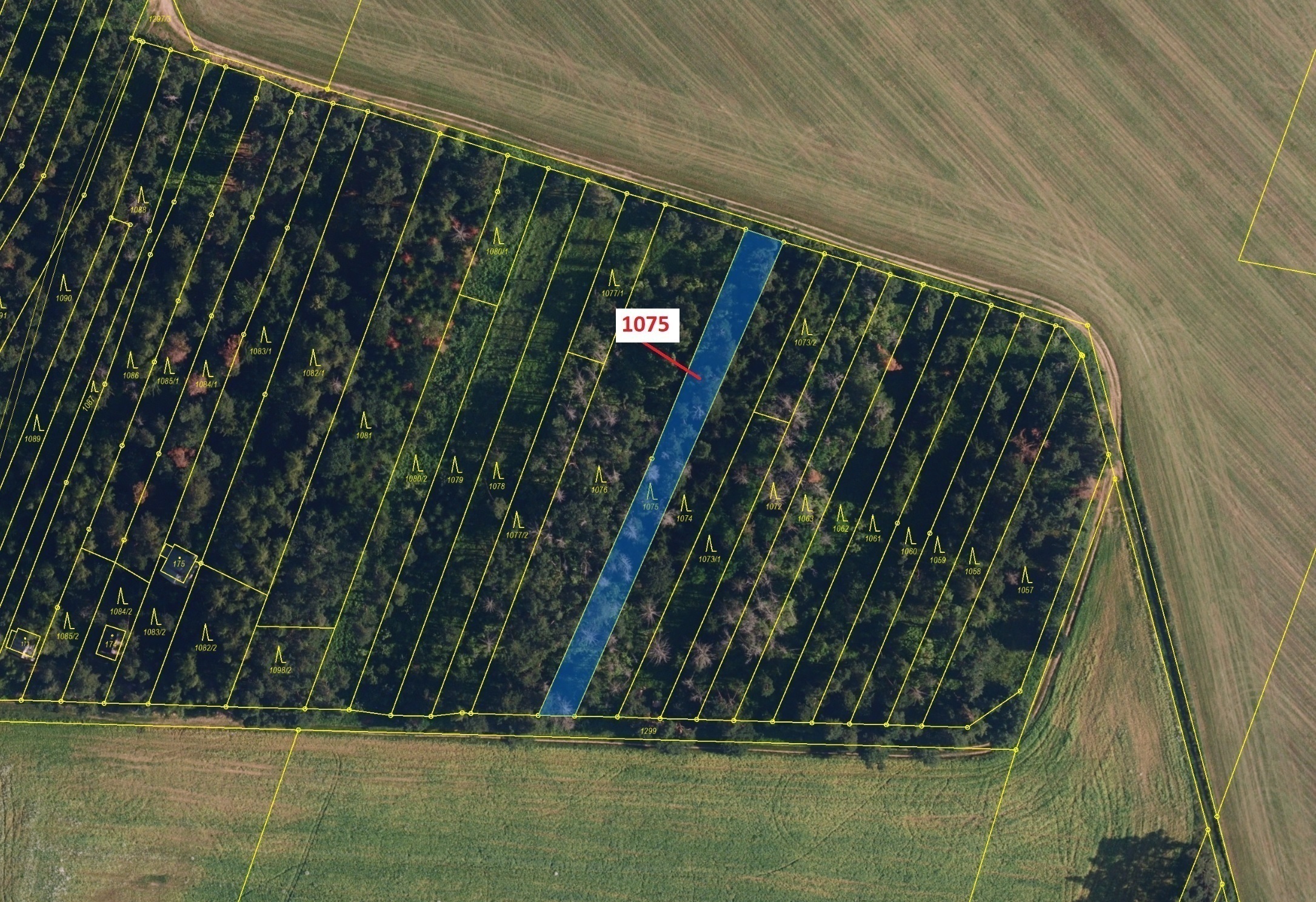 Lesní pozemek o výměře 1134 m2, podíl 1/1, katastrální území Dolní Vilémovice, obec Dolní Vilémovice