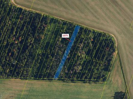 Prodej - pozemek, les, 1 134 m²