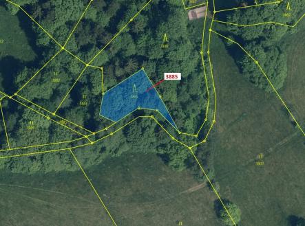 Prodej - pozemek, les, 561 m²
