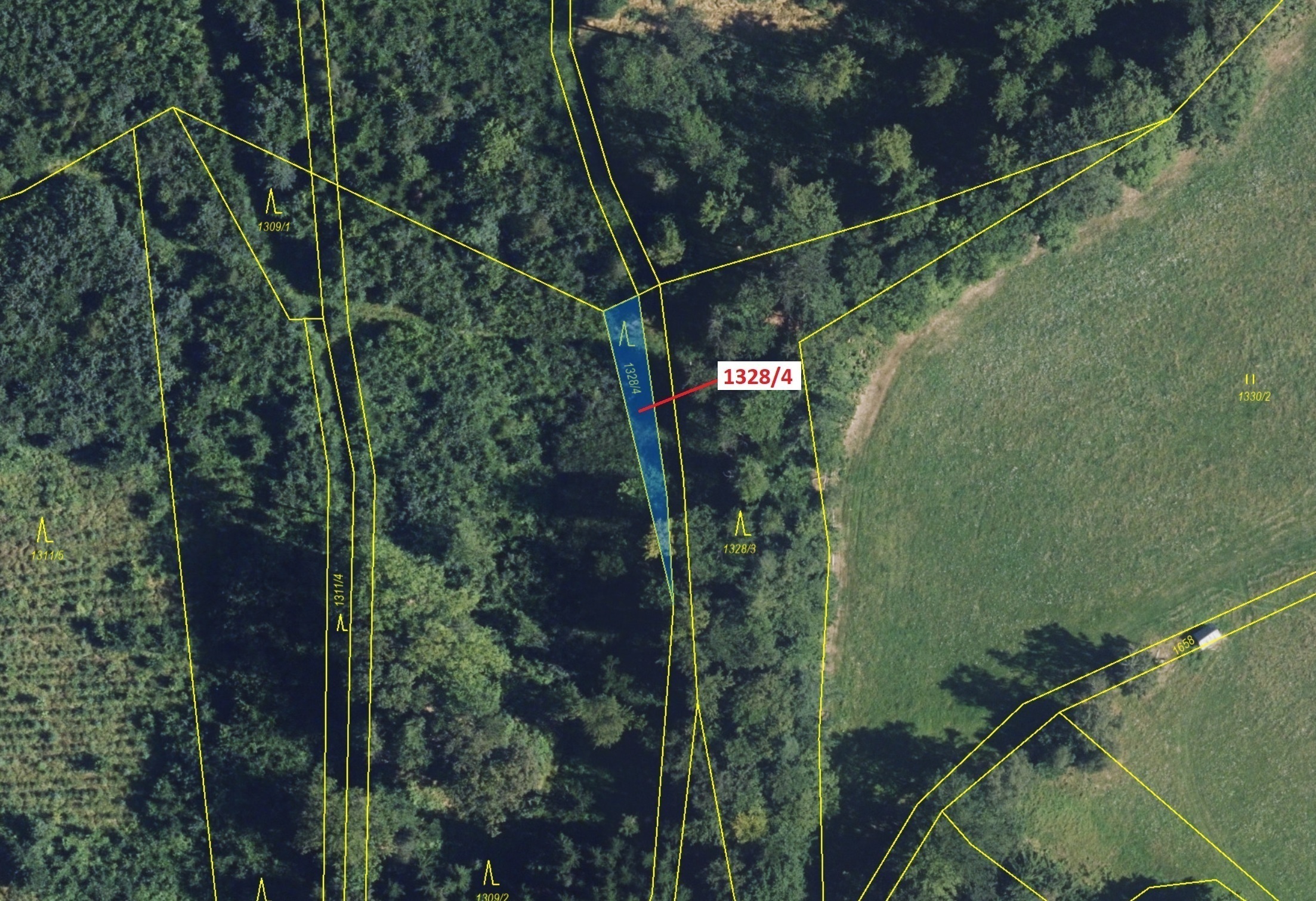 Lesní pozemek o výměře 199 m2, podíl 1/1, katastrální území Kladky, obec Kladky, obec s rozšířenou p